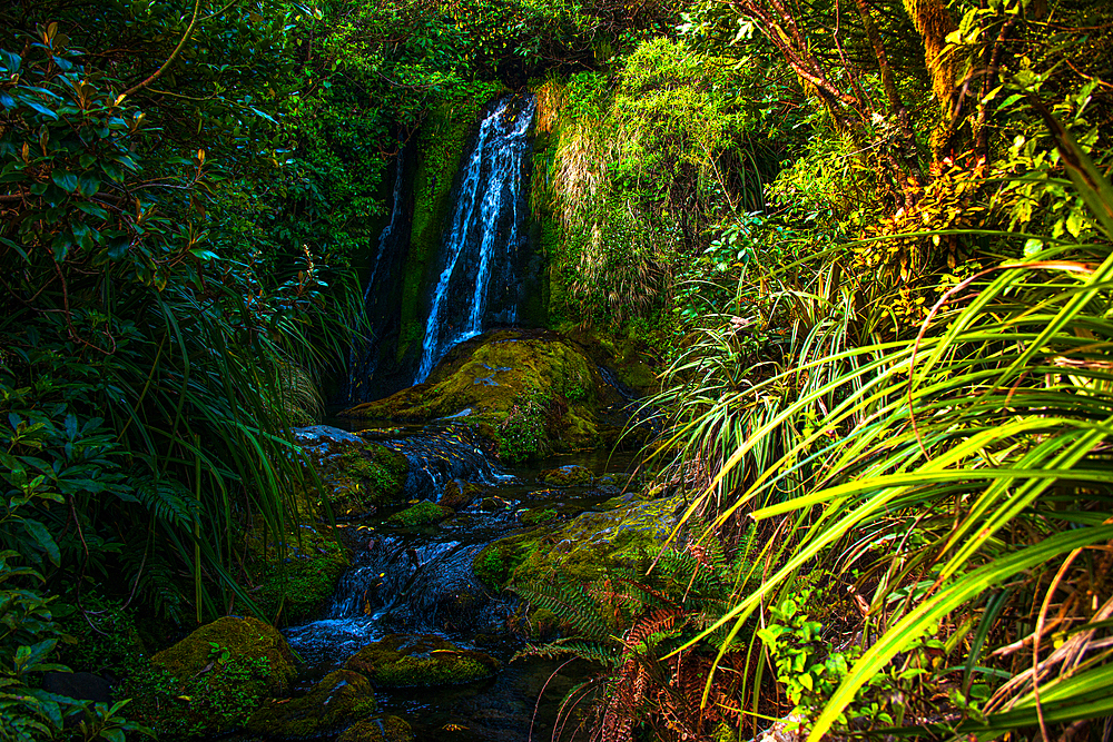 Lush green rainforest with a creek and waterfall, New Zealand, Pacific