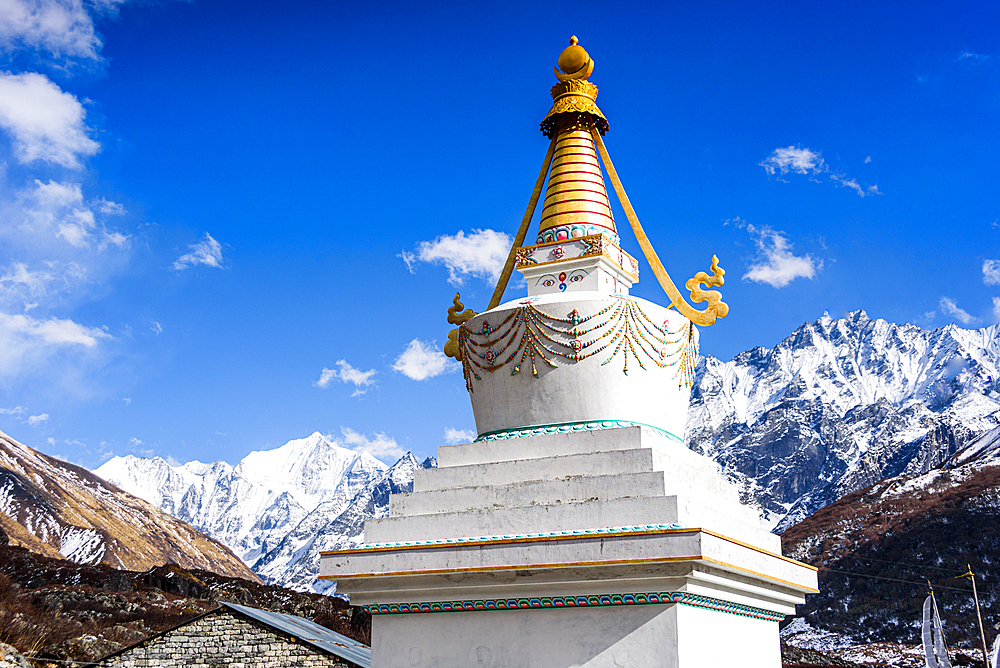 White Buddhist stupa with golden spire standing before the snow-covered Gangchempo and Tserko Ri in Langtang Valley, Nepal
