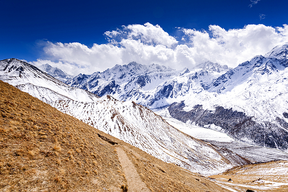 Mountain trail winding down from Kyanjin Ri with breathtaking snow-covered ridges and distant Langtang peaks, Nepal