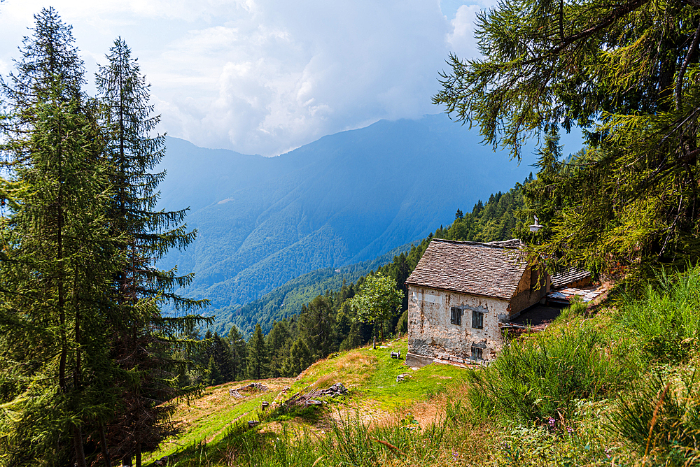 Rural alpine life with a cabin above a vast mountain valley, Italian Alps, Italy, Europe