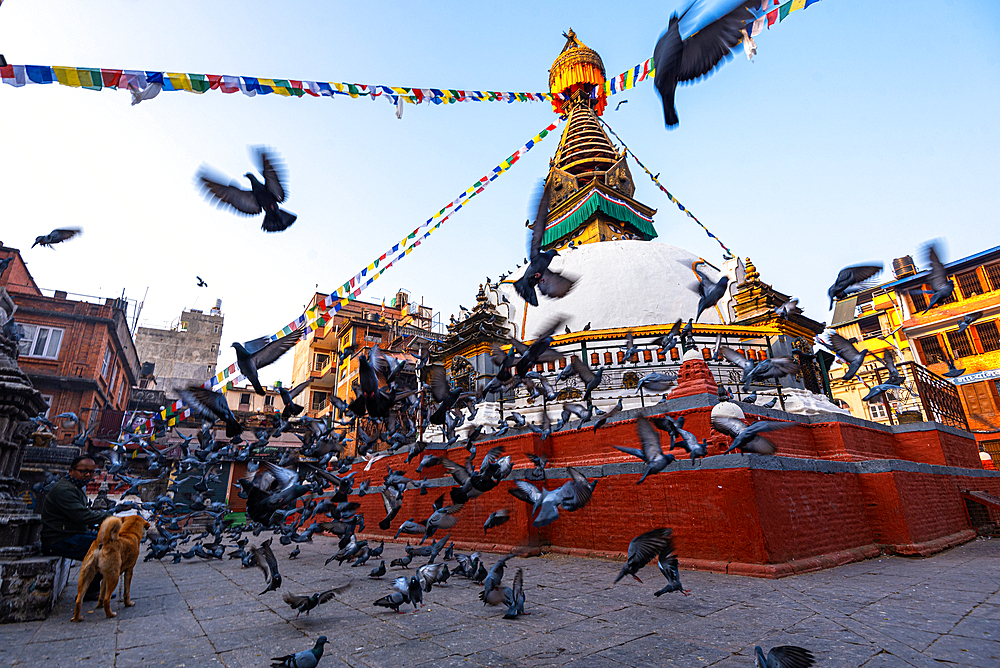 Pigeons flying around Kathi Swoyambhu Shree Gha Stupa with colorful prayer flags and early morning sunlight in Kathmandu