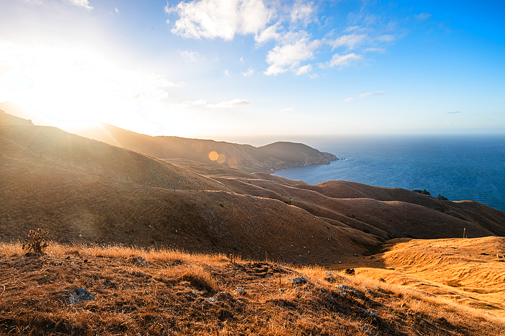 Rolling hills meet the deep blue Pacific Ocean in a dramatic coastal view at French Pass, Marlborough Sounds, South Island, New Zealand.