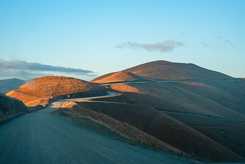 A solitary gravel road winds through sunlit golden hills near French Pass in the Marlborough Sounds, New Zealand.