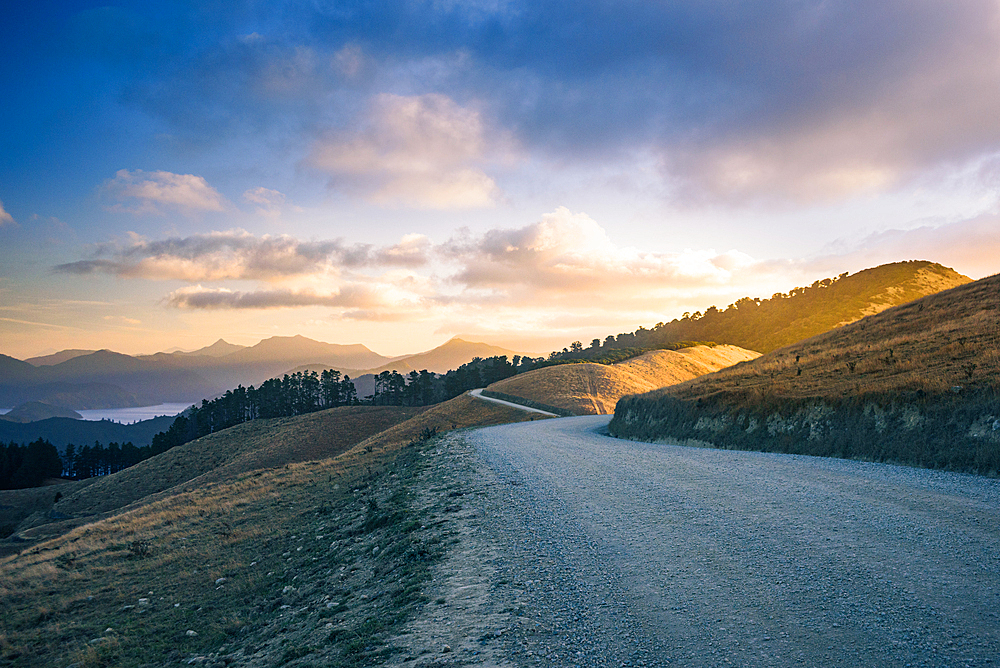 gravel road winds through sunlit hills near French Pass in the Marlborough Sounds, New Zealand.