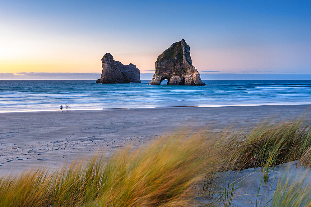 Sunset at the iconic Archway Islands off Wharariki Beach in Golden Bay, New Zealand. Windswept grasses frame the view of this remote and unspoiled coastal landscape