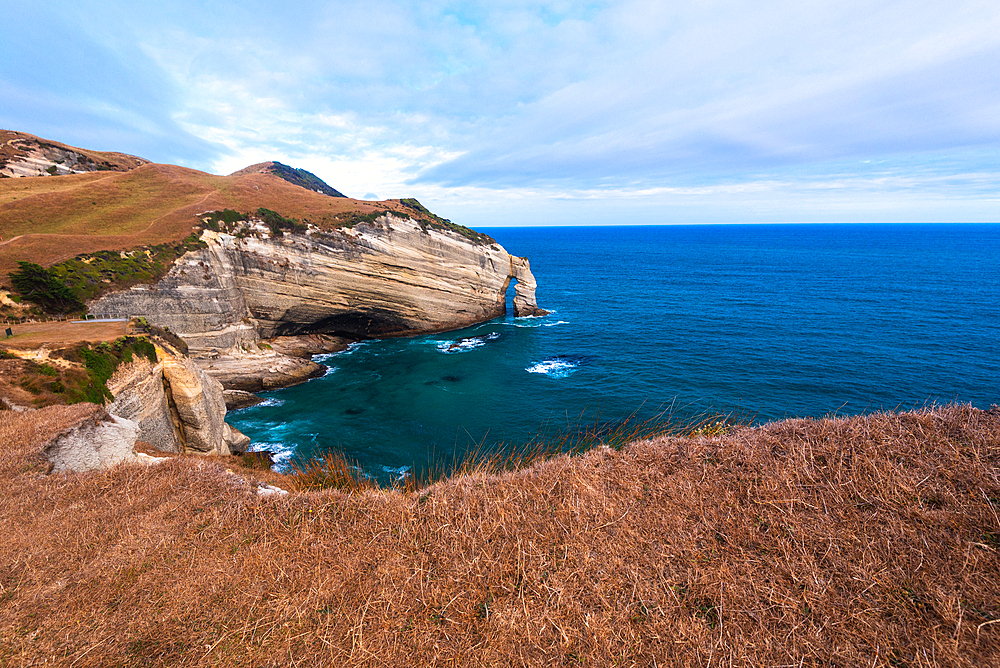 Golden fields meet steep cliffs and blue ocean at Cape Farewell, South Island’s northernmost point, New Zealand.