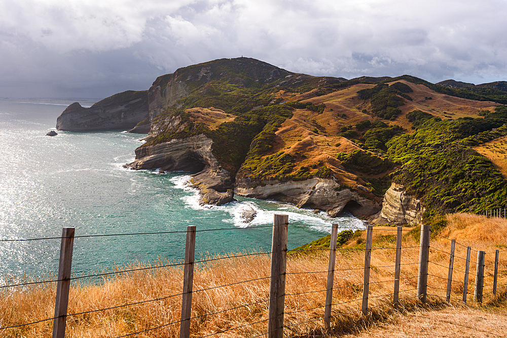 Grassy farmland with a fence line above the rugged coastline of Cape Farewell, Golden Bay, South Island, New Zealand.