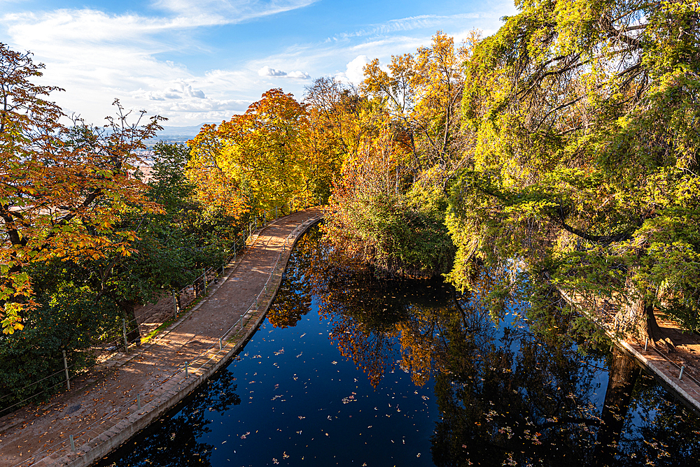 A tree-lined pond with golden autumn foliage reflected in Carmen de los Mártires gardens, Alhambra, Granada, Spain.
