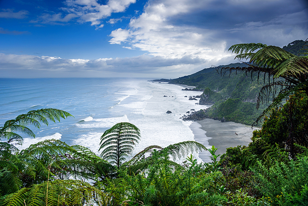 Panoramic view of the rugged West Coast near Kahurangi National Park, rugged foresty cliffs and fern native bush, South Island, New Zealand