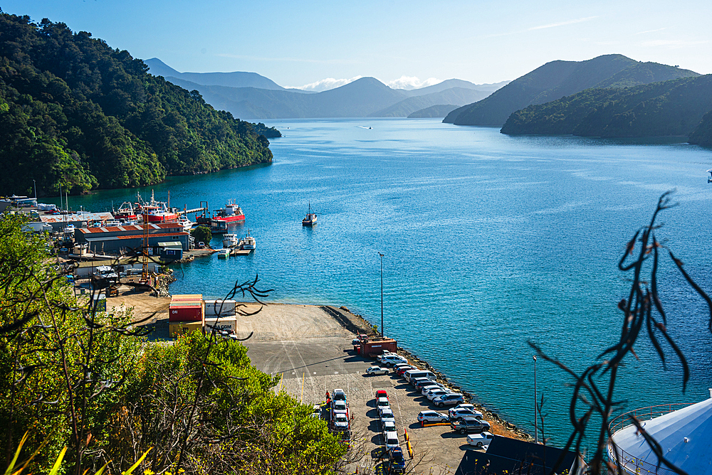 Large cruise liners moored at Picton, the main port of Marlborough Sounds, South Island, New Zealand.