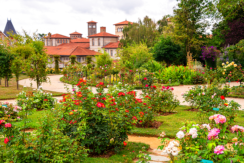 Rose garden in Parc du Thabor with blooming flowers and elegant French architecture in Rennes Brittany France