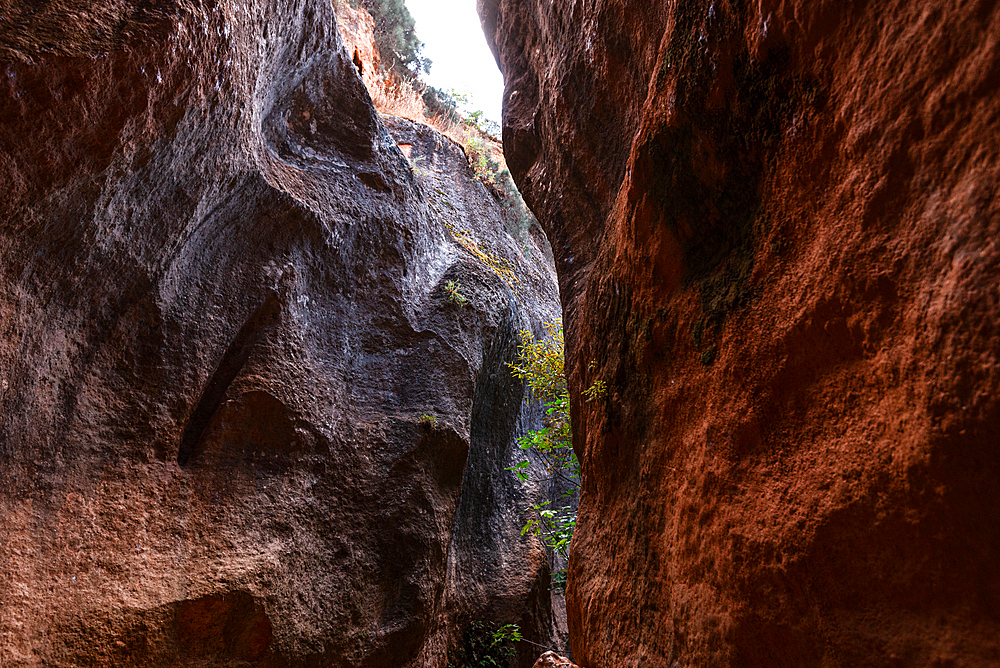 Narrow sandstone walls rising steeply in the Barranco de Luna canyon, with light filtering through the dramatic rock formations.