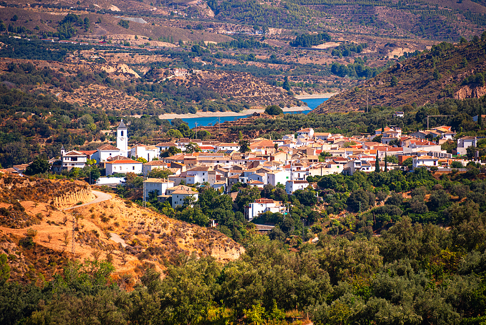 A panoramic view of Restábal, Granada, with whitewashed houses surrounded by olive groves and the embalse de beznar in the background