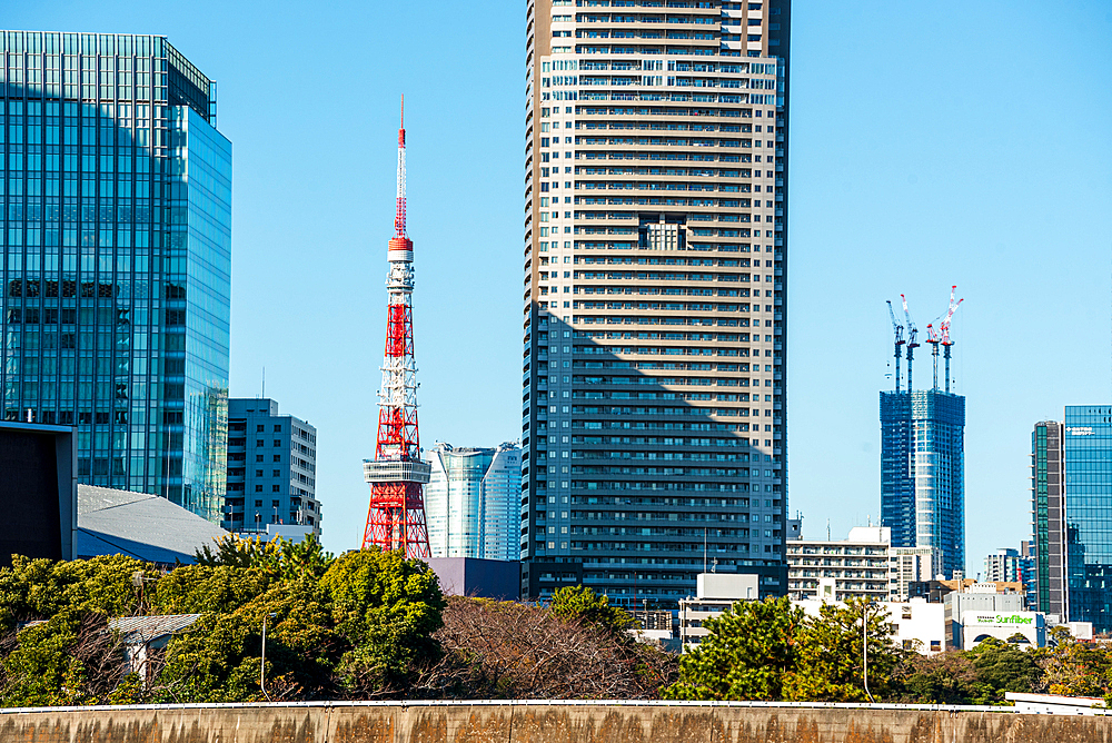 Skyscraper in Tokyo with the red iconic Tokyo Tower, Tokyo, Honshu, Japan, Asia