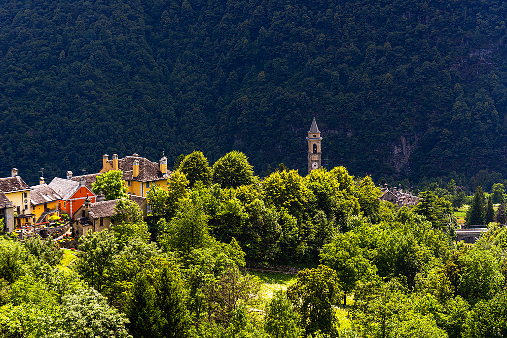 The township of Varzo viewed from a distance wth roof tops and spire above the alpine forest, Varzo, Piemonte (Piedmont), Northern Italy, Europe