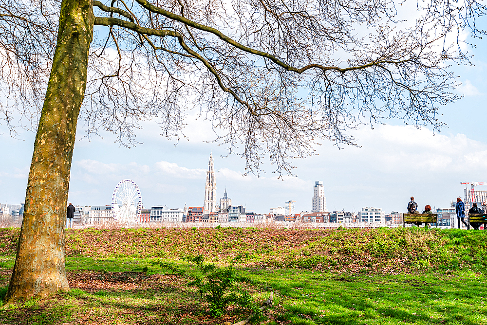 View of the skyline of Antwerp across the River Schelde from a park, Scheldekaaien Linkeroeve, Antwerp, Belgium, Europe