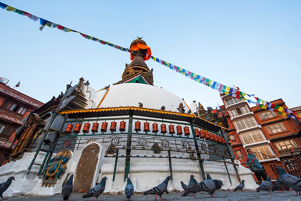 Early morning, pigeons and Stupa in Kathmandu, Nepal, Asia