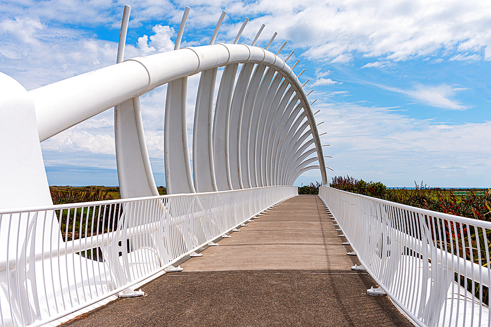 Unique architecture of Te Rewa Rewa Bridge in New Plymouth, North Island, New Zealand, Pacific