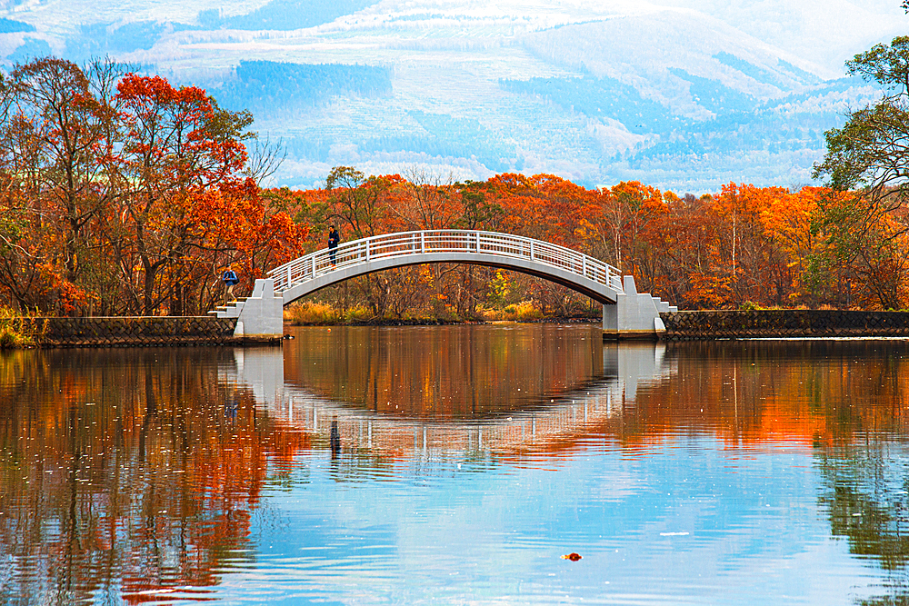 Beautiful white bowed bridge reflecting in a clear lake with red autumn colours surrounding, Lake Onuma, Hokkaido, Japan, Asia