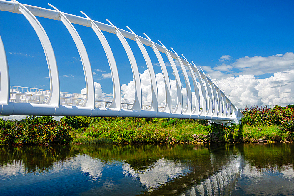 River and unique architecture of Te Rewa Rewa Bridge in New Plymouth, North Island, New Zealand, Pacific