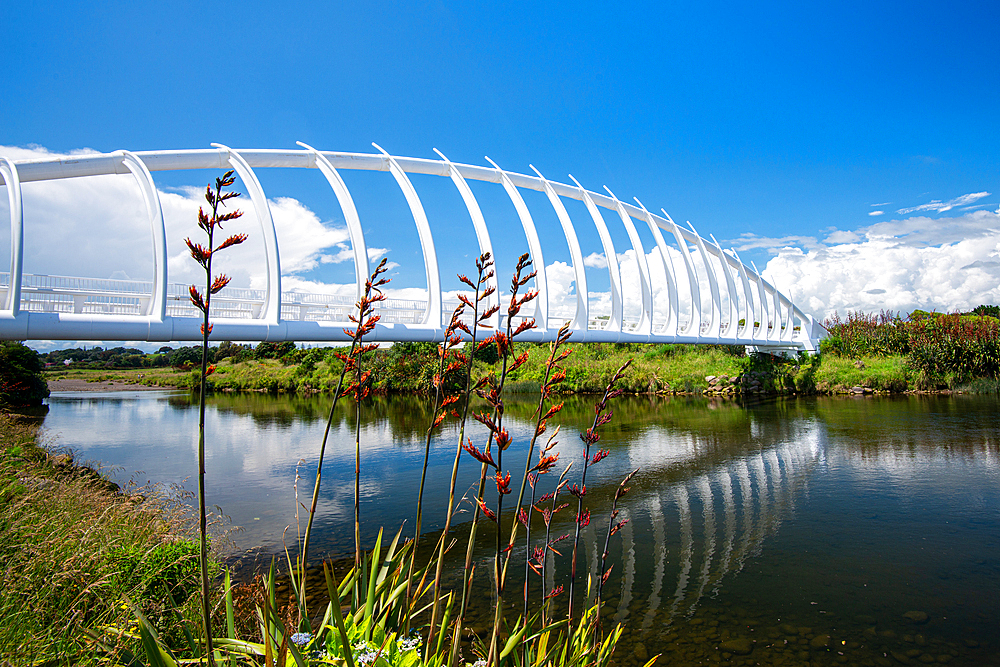 Unique architecture of Te Rewa Rewa Bridge in New Plymouth, North Island, New Zealand, Pacific