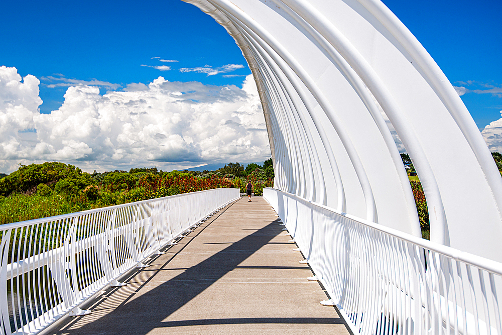 Unique architecture of Te Rewa Rewa Bridge in New Plymouth, North Island, New Zealand, Pacific