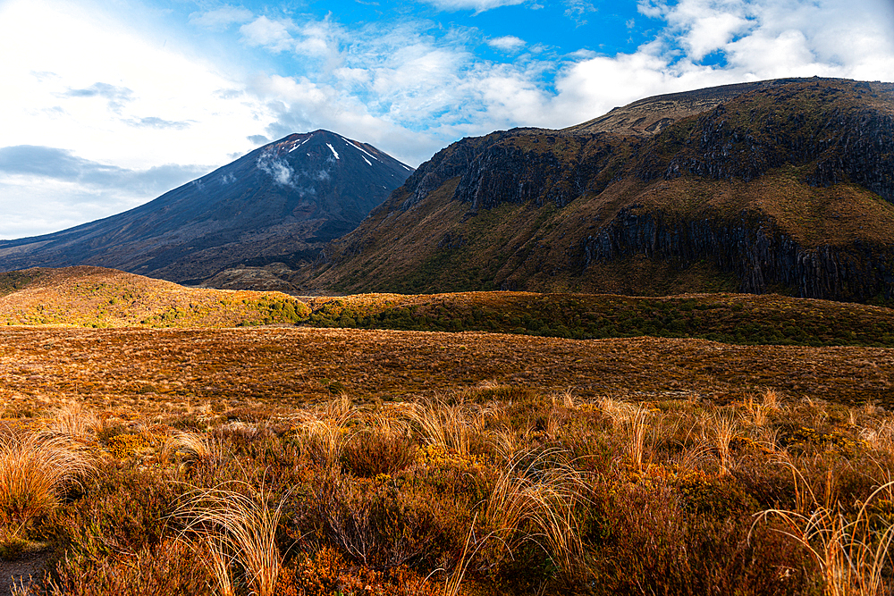 Colorful scrub fields in front of Ngauruhoe Volcano and Pukekaikiore in Tongariro National Park, UNESCO World Heritage Site, North Island, New Zealand, Pacific