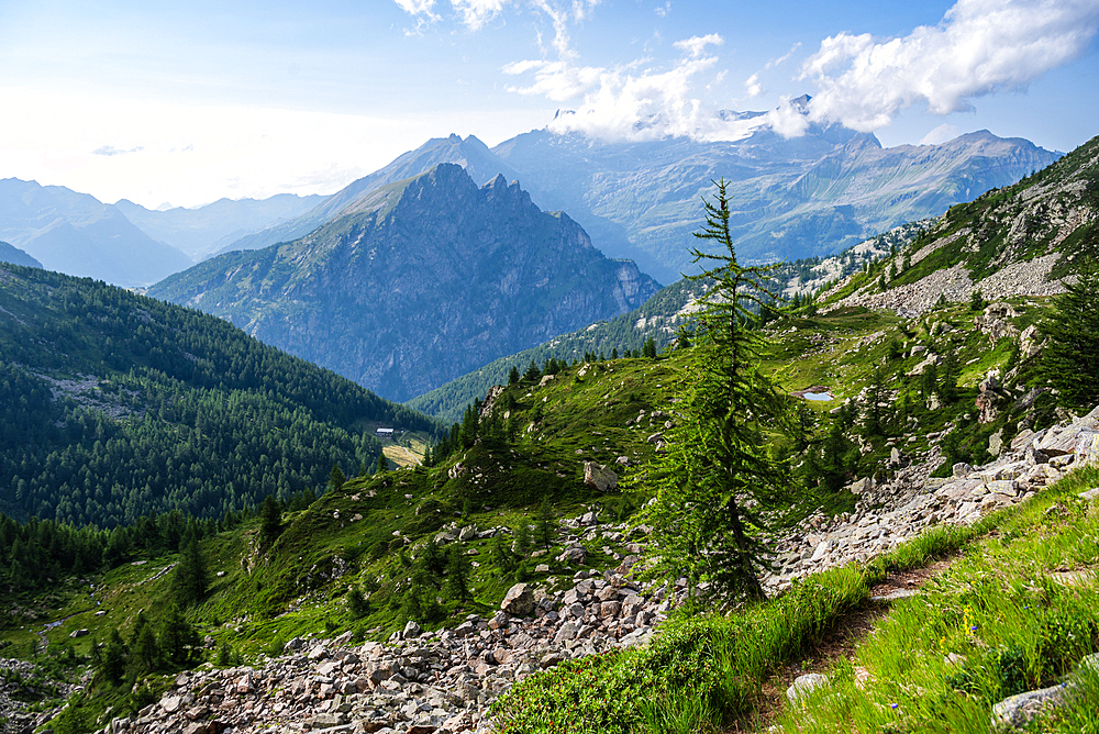 Beautiful alpine panorama in summer in the Alps, Italian Alps, Italy, Europe