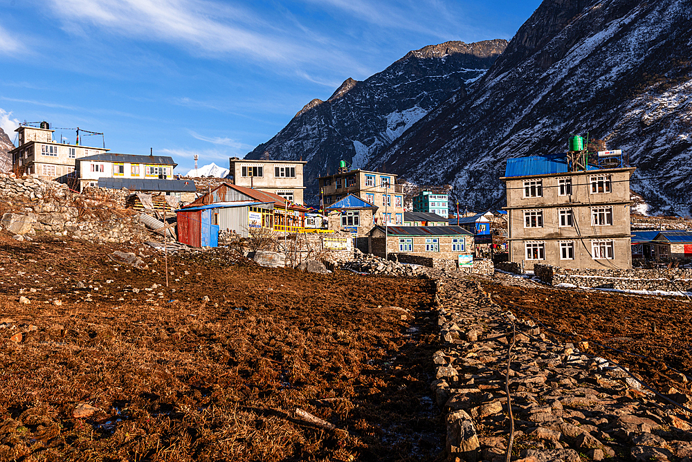 Lang Tang Village, a high altitude village on the Lang Tang Valley Trek, Himalayas, Nepal, Asia