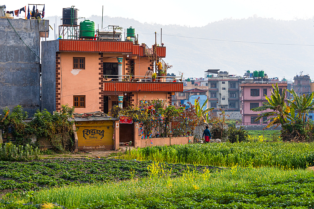 Colourful houses and agricultural field, Nepal, Asia