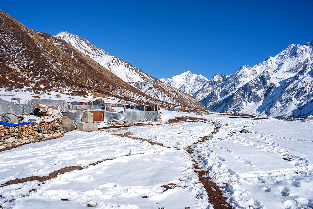 Small walking paths in the snow leading into the vast mountain valley, Kyanjin Gompa, Lang Tang Valley Trek, Himalayas, Nepal, Asia