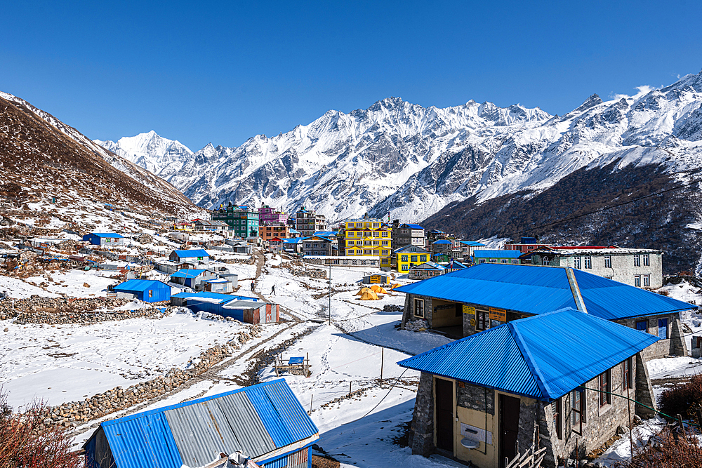 Blue roof tops and colourful lodges of Kyanjin Gompa with mountain panorama of surrounding icy summits, Langtang Valley Trek, Himalayas, Nepal, Asia