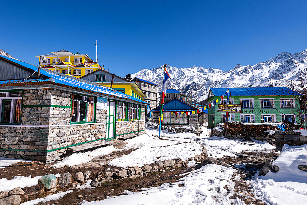 Kyanjin Gompa, Langtang Valley trek, Himalayas, Nepal, Asia