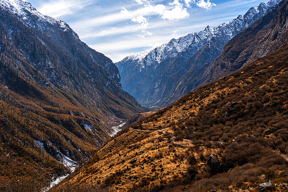 Beautiful landscape along the Langtang Valley trek, Himalayas, Nepal, Asia