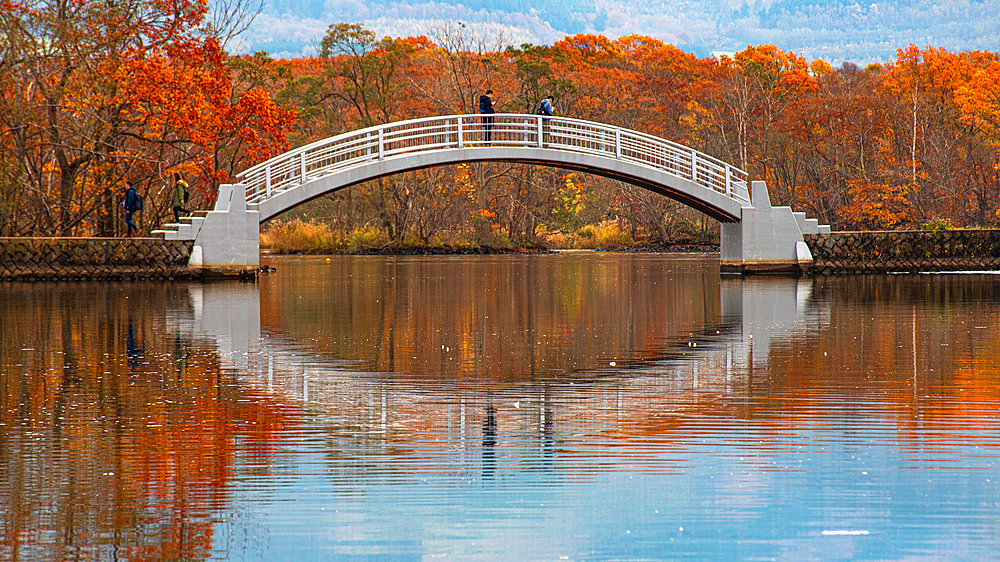 A bowed Hakamagoshi Bridge on Lake Onuma on a vibrant autumn day, Hokkaido, Japan, Asia