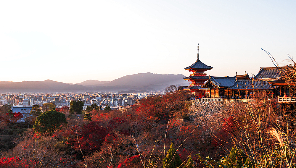 Kiyomizu Temple (Kiyomizu-dera) in the evening sunset and autumnal scenery with vibrant colours and city skyline panorama, UNESCO World Heritage Site, Kyoto, Honshu, Japan, Asia