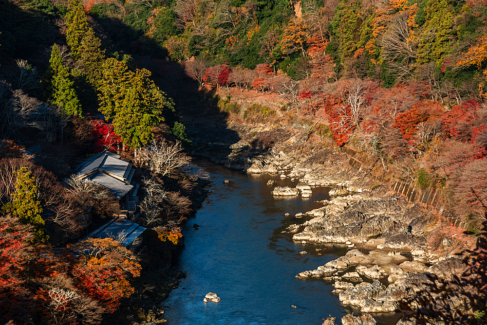 Autumnal forests with deep blue Katsura River in Arashiyama of Kyoto, Honshu, Japan, Asia