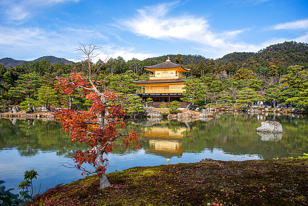 Golden Temple (Kinkaku-ji) (Temple of the Golden Pavilion), UNESCO World Heritage Site, Kyoto, Honshu, Japan, Asia