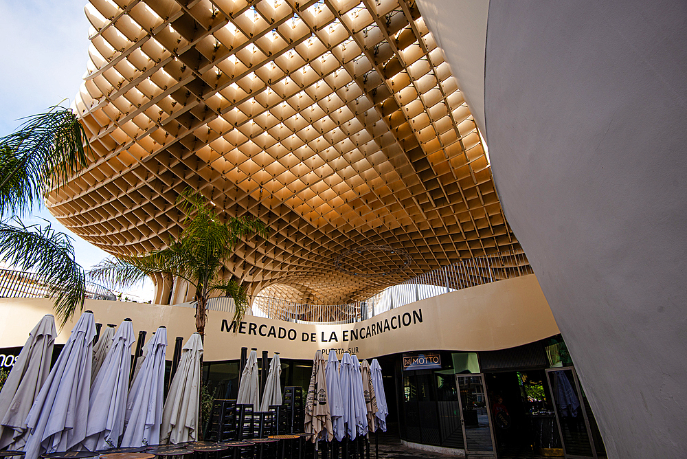 Metropol parasol (Setas de Sevilla) Mercado de la Encarnacion, Seville, Andalucia, Spain, Europe