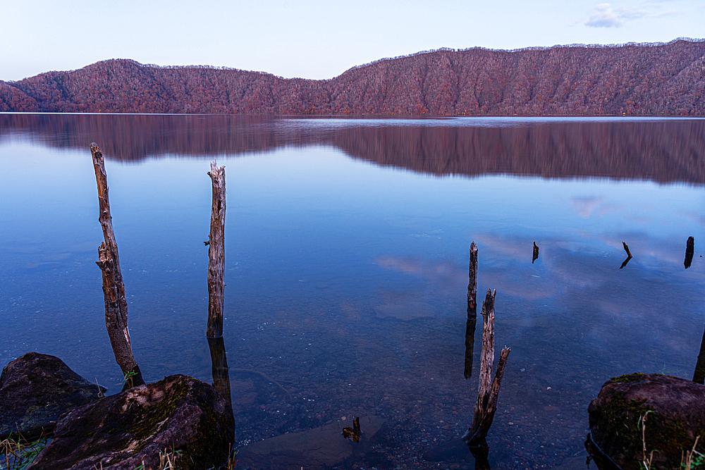 Soft purple evening light at a lake in late autumn, reflecting a forestry slope, Lake Toya, Shikotsu-Toya National Park, Abuta, Hokkaido, Japan, Asia