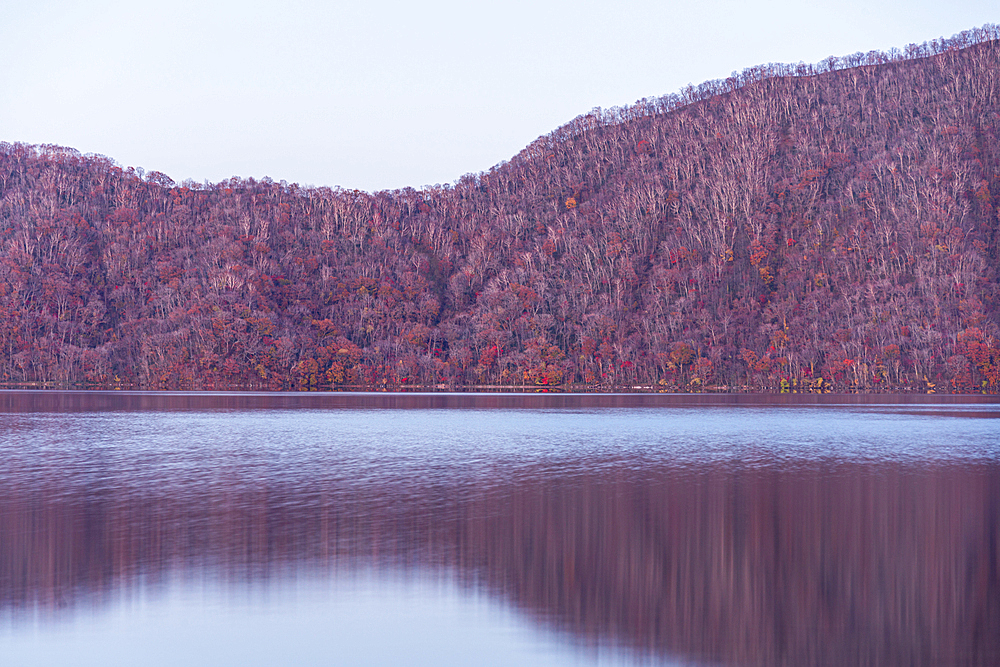 Soft purple evening light at a lake in late autumn, reflecting a forestry slope, Lake Toya, Shikotsu-Toya National Park, Abuta, Hokkaido, Japan, Asia