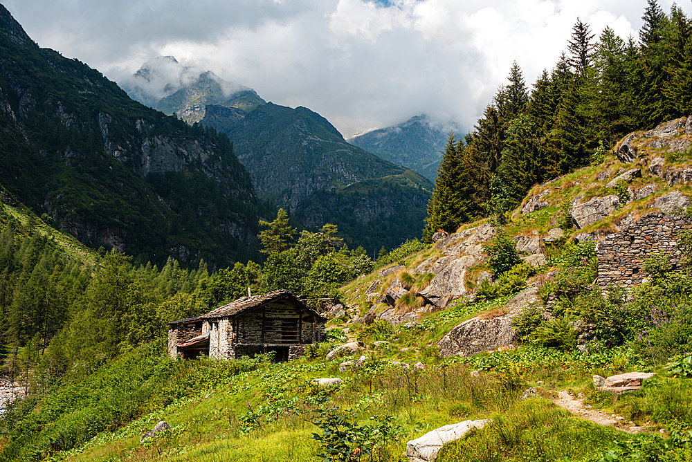 Stone hut in an alpine forest on a hiking trail in Alagna Valsesia area in the Italian Alps, Piedmont, Italy, Europe