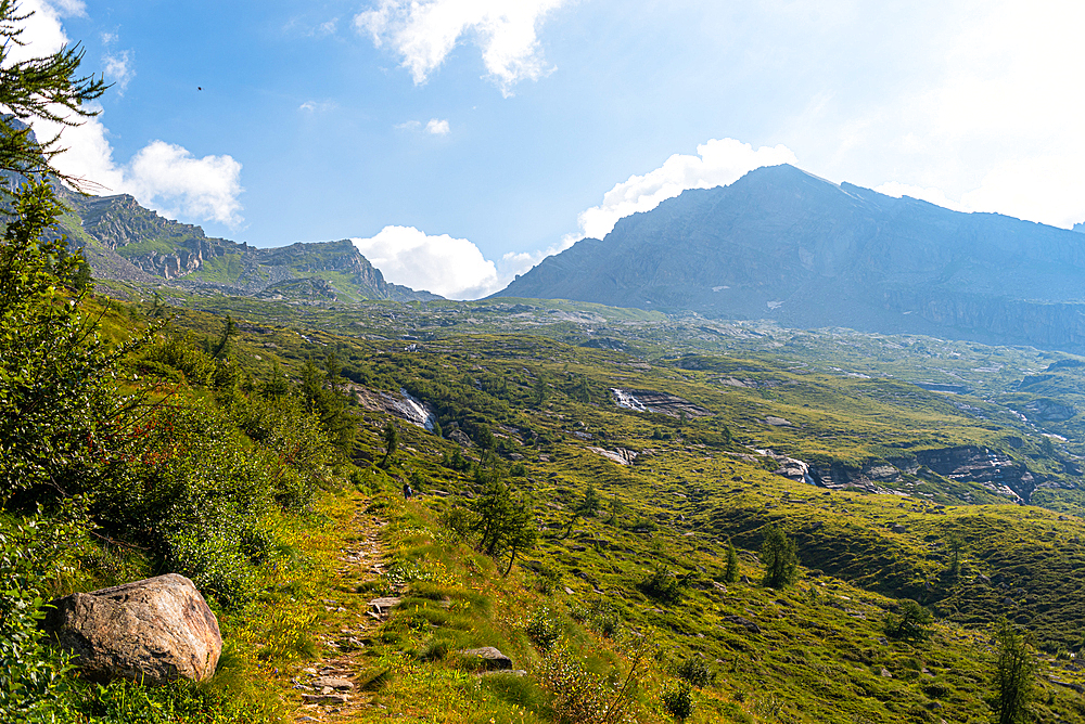 Meadows of alpine landscape, peaceful hiking area in Northern Italy, Europe