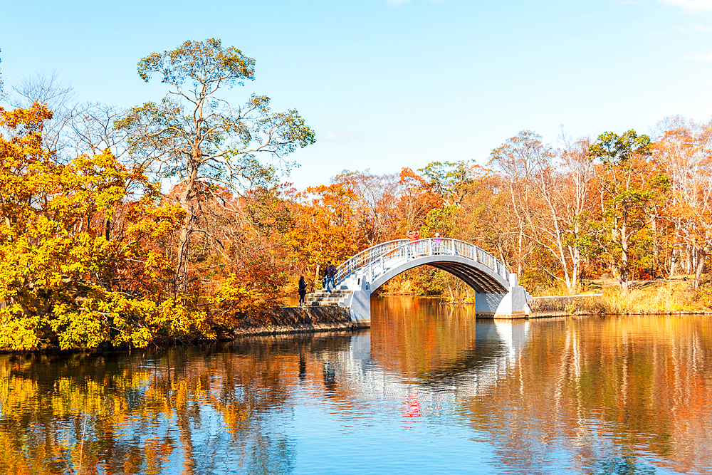 Beautiful Hakamagoshi Bridge on Lake Onuma on a vibrant autumn day, Hokkaido, Japan, Asia