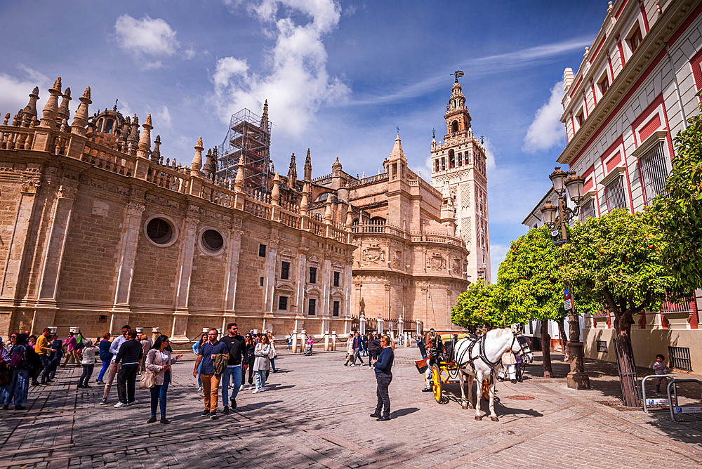 Cathedral of Seville, UNESCO World Heritage Site, Seville, Andalucia, Spain, Europe