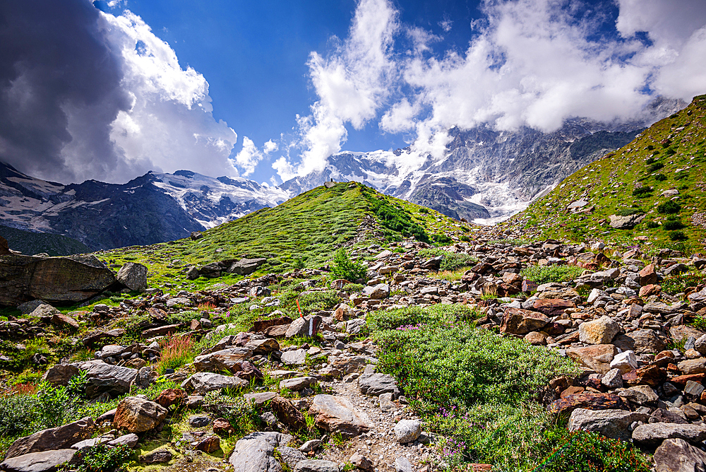 Mountain creek, rocks and meadows, Monte Rosa, Dufourspitze, Italian Alps, Italy, Europe