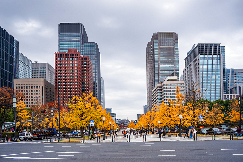 Autumnal leaves and skyscrapers of central Tokyo, Honshu, Japan, Asia