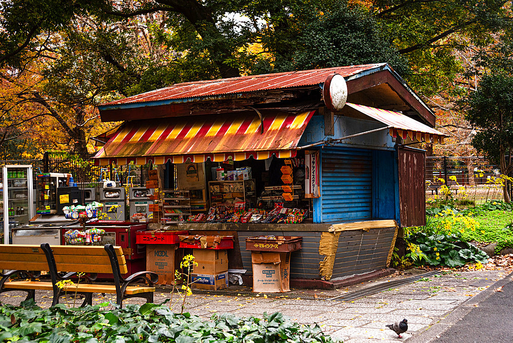 Traditional Japanese store in Hibiya Park in autumn, Tokyo, Honshu, Japan, Asia