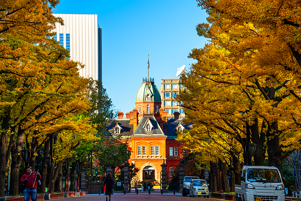 Sapporo town hall with beautiful autumn ginko trees, Sapporo, Hokkaido, Japan, Asia