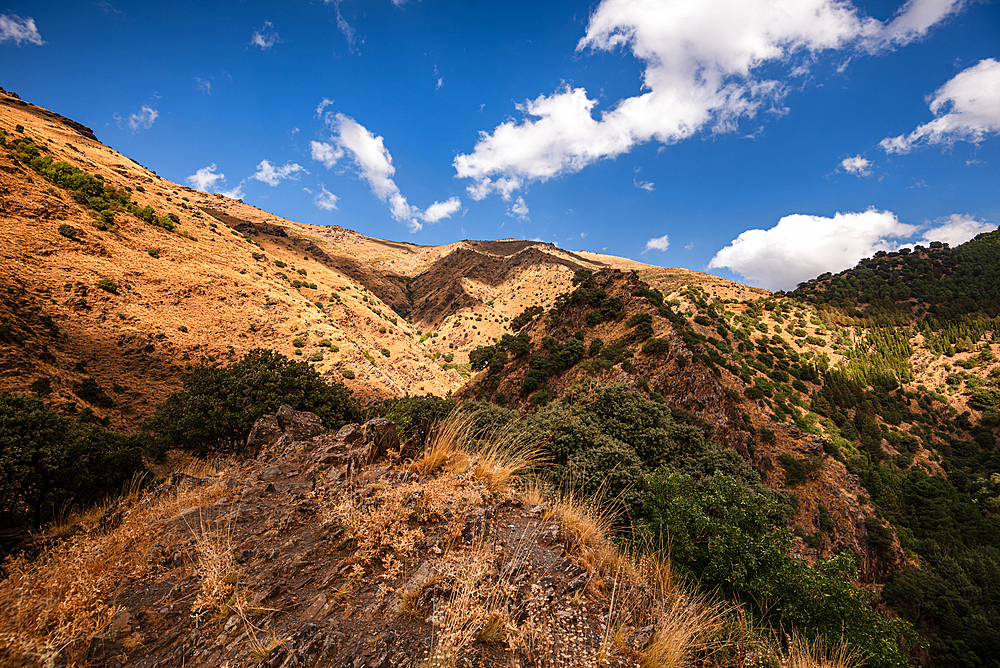 Rugged arid mountain valley of the Sierra Nevada, Andalusia, Spain, Europe